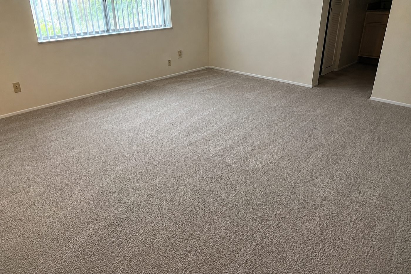 Carpet replacement — after