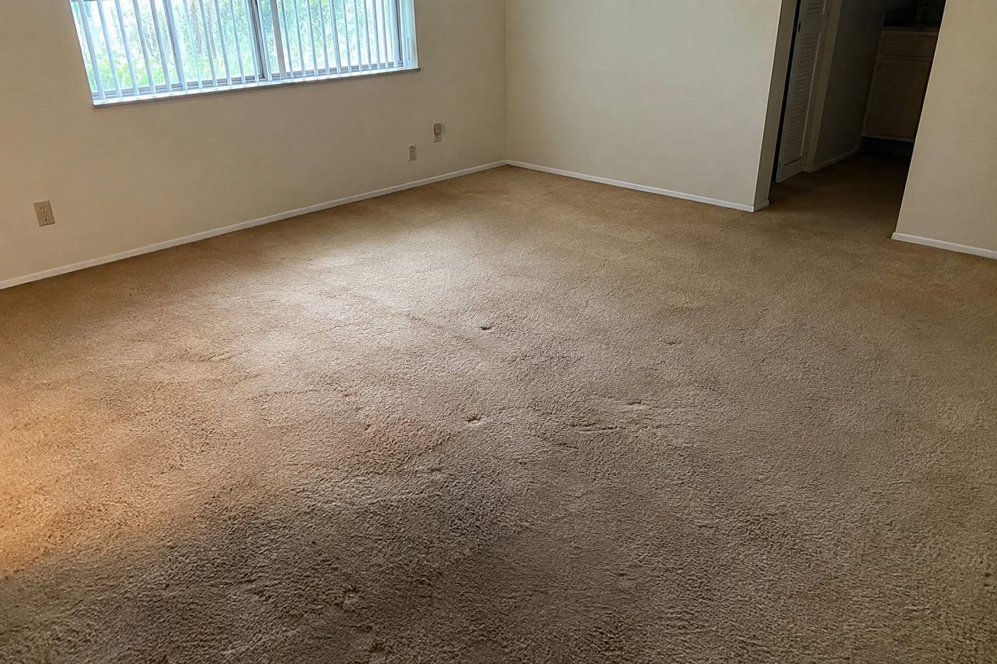 Carpet replacement — before